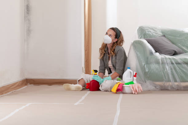 Reliable Basement Mold Removal contractor in Caledonia, MN by WQB Mold Removal